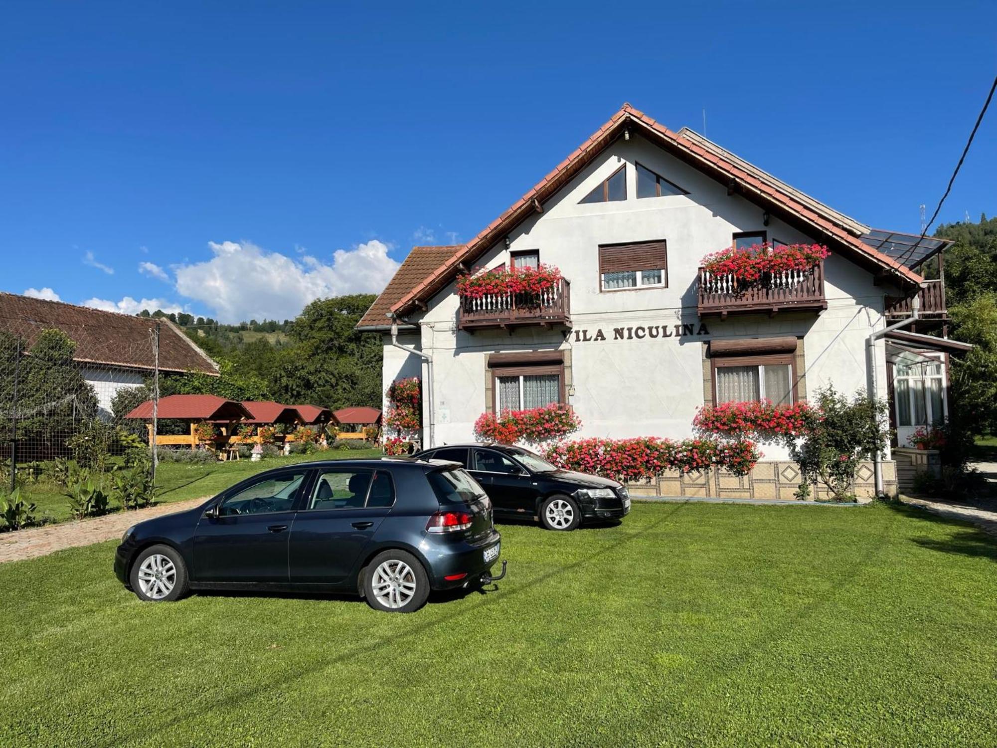 Vila Niculina Moieciu de Jos Exterior foto