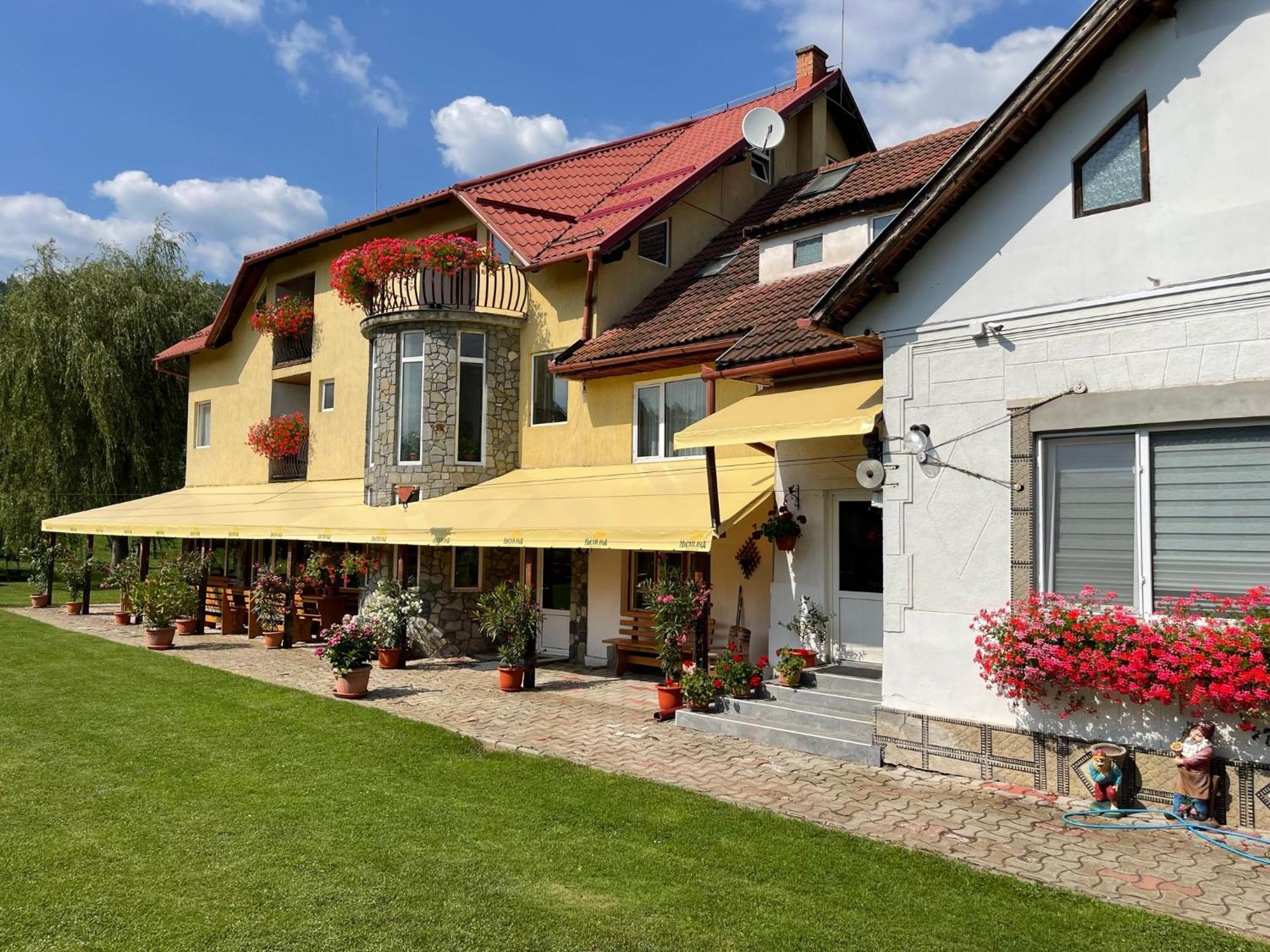 Vila Niculina Moieciu de Jos Exterior foto